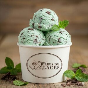 glace menthe chocolat artisanale