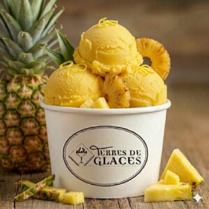 sorbet artisanal à l'ananas