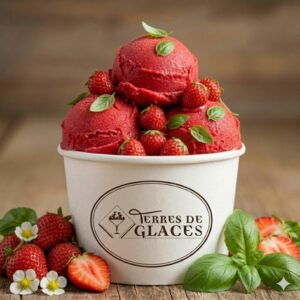 sorbet fraise basilic
