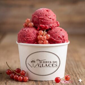 sorbet groseille