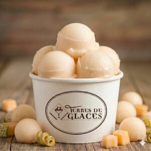 sorbet melon