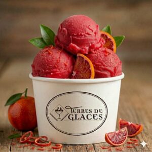 sorbet artisanal à l'orange sanguine