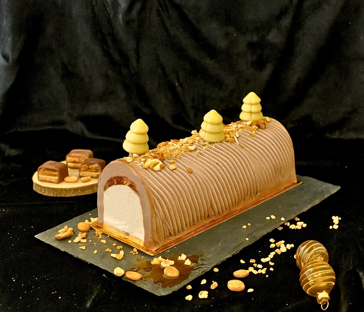 Bûche glacée la carapeanuts