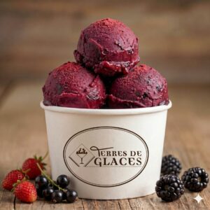 sorbet fruits rouges : fraise, cassis, mûre